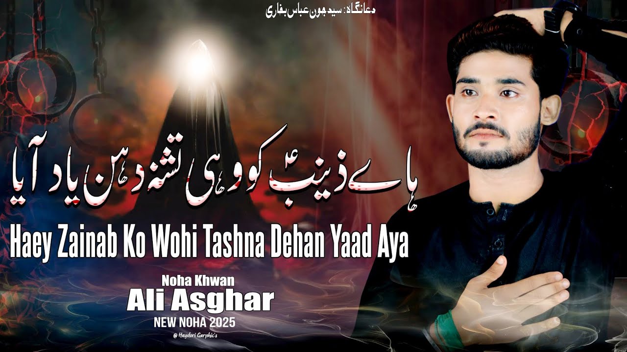 Hy Zainab Ko Wahi Tishna Dehan Yaad Aya|Noha Khuwan Ali Asghar|Album2025