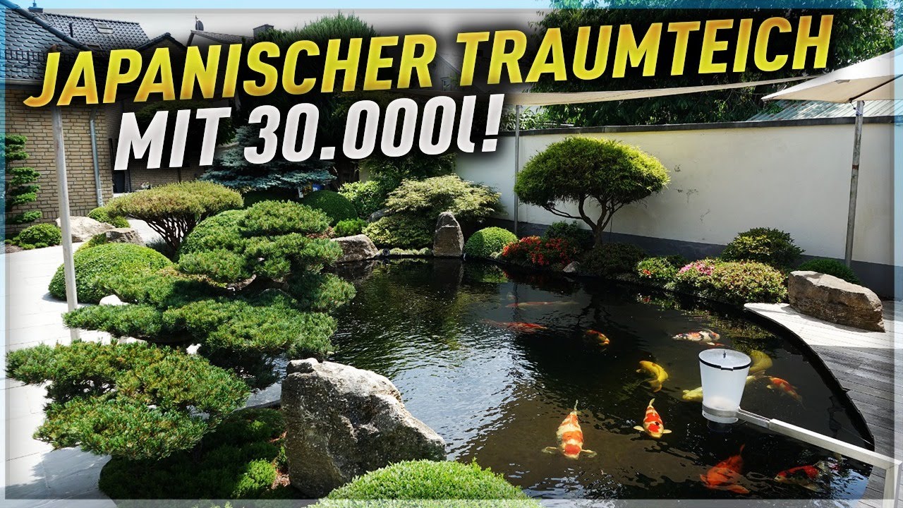 ENDLOSBANDFILTER und GARTENBONSAI! Ein 30.000 Liter KOITEICH mit japanischer Gartengestaltung!
