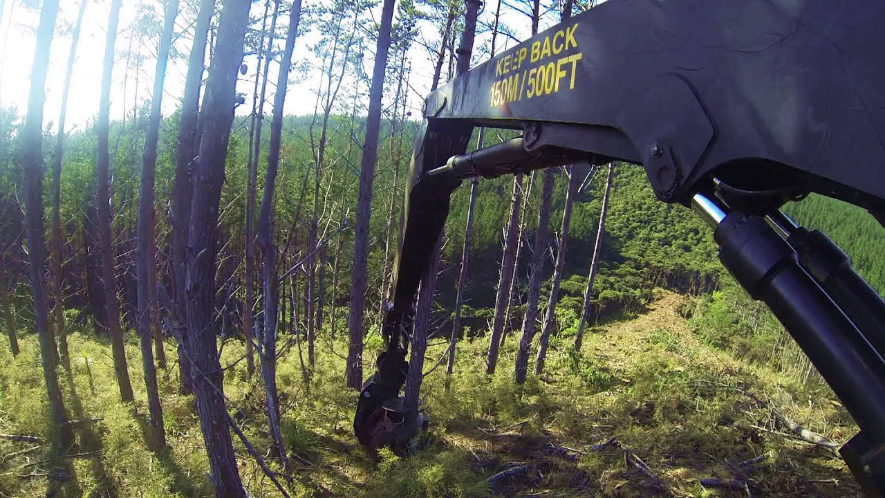 Tigercat LH855C felling for a yarder