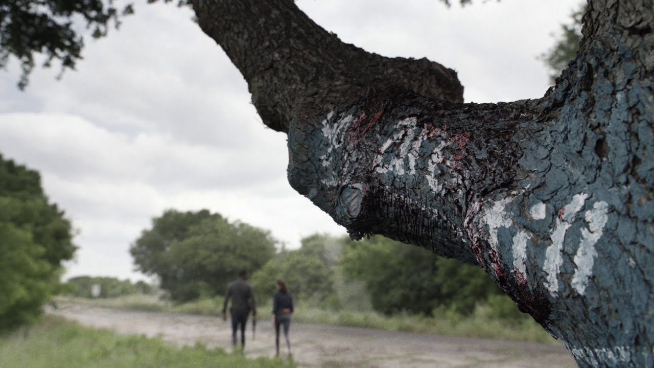 Fear the Walking Dead - Season 5 OST - 5.11 - 01: If You Are Reading This