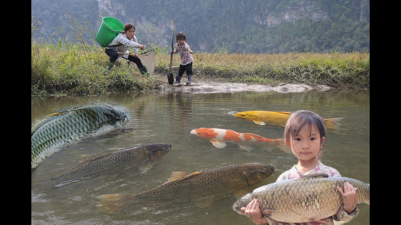 discovered a wild puddle. Drain the water in the incredible lake filled with giant fish. Catch fish
