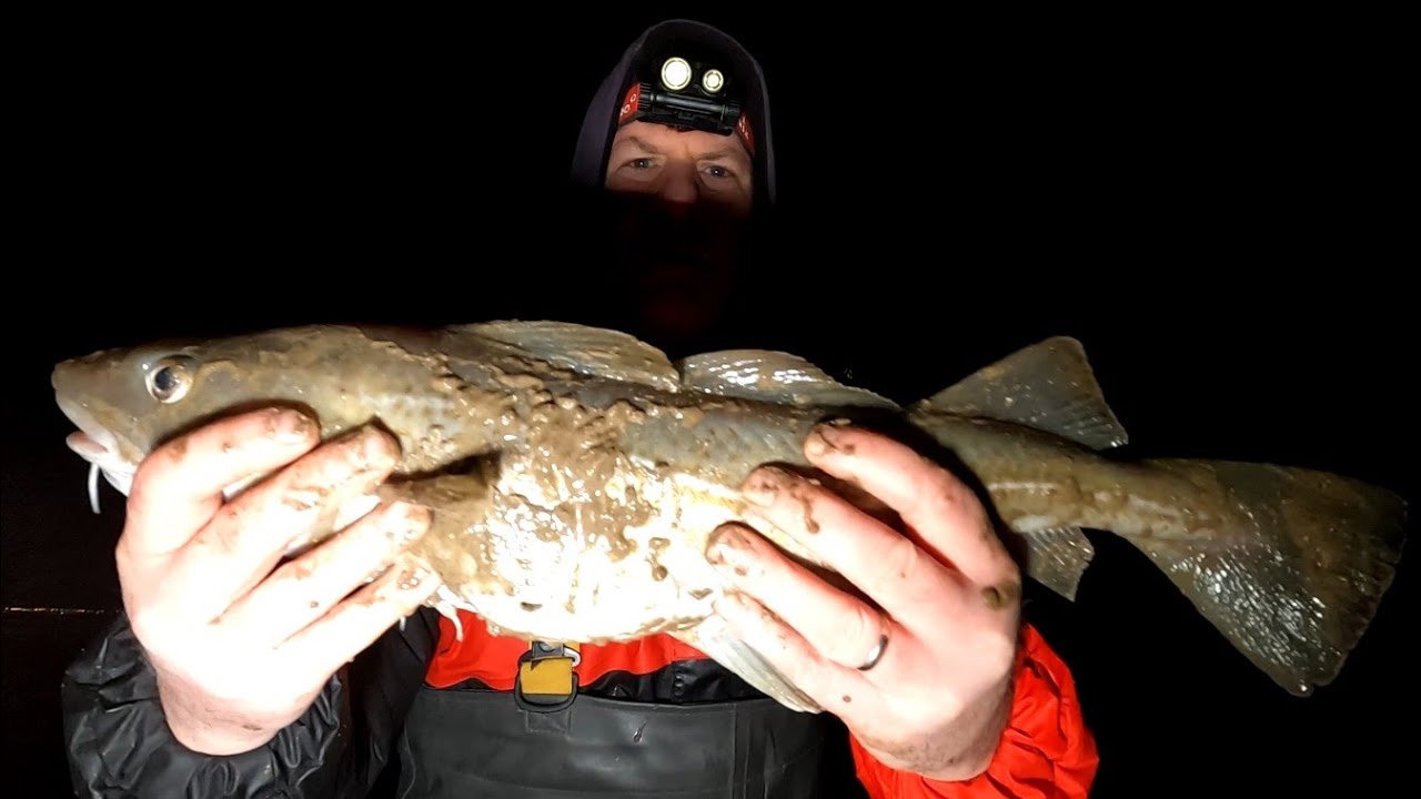 Cod Fishing at Rossall Beach , Cleveleys - 22/12/22