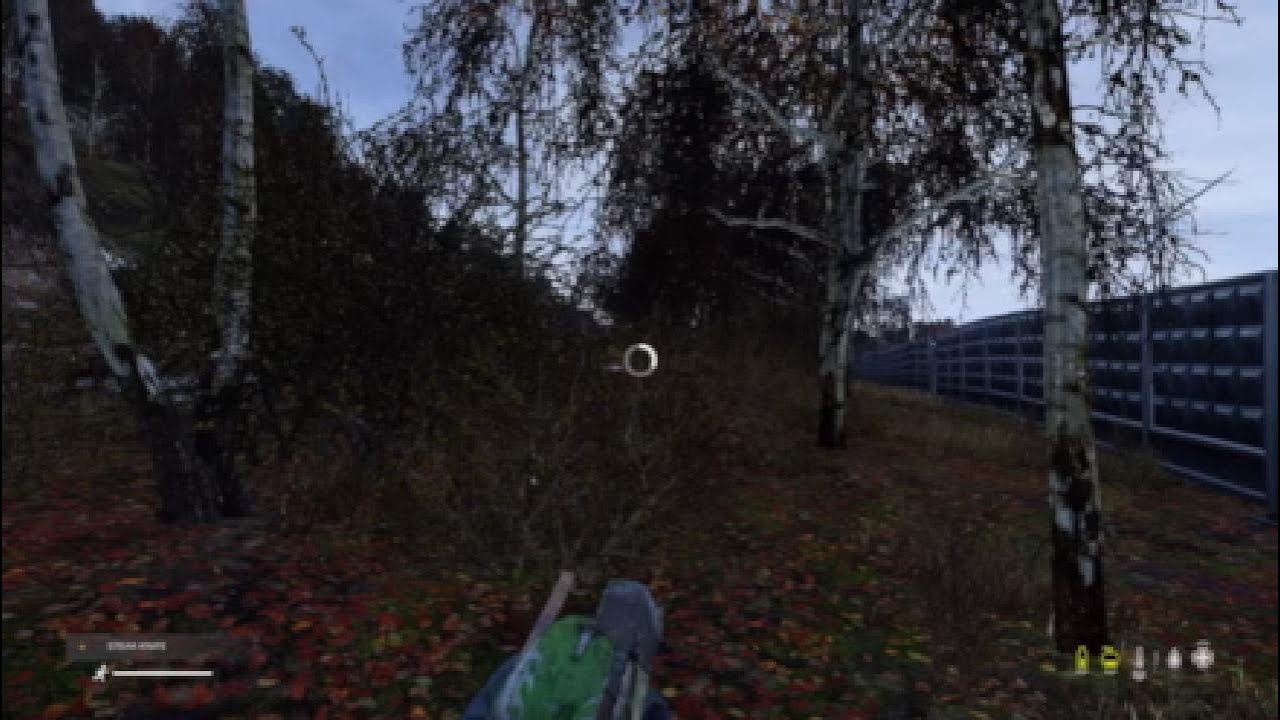 DayZ Sakhal Trying to survive