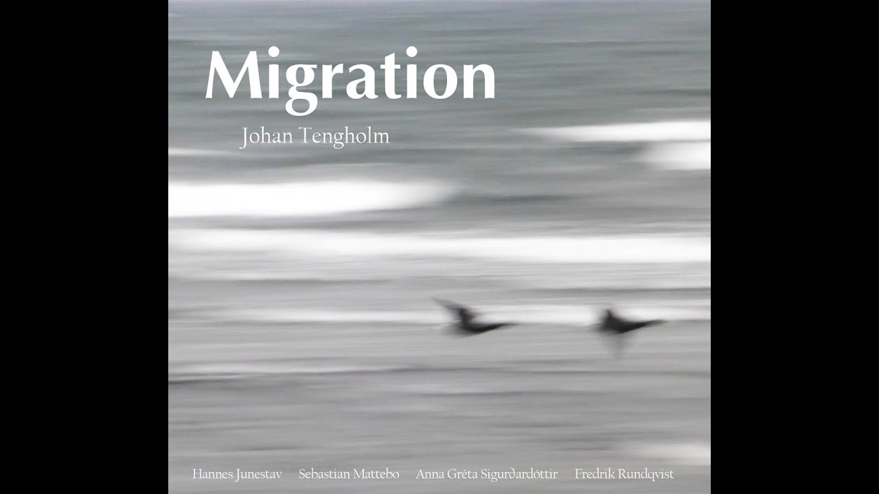 Johan Tengholm - Migration (Album teaser)