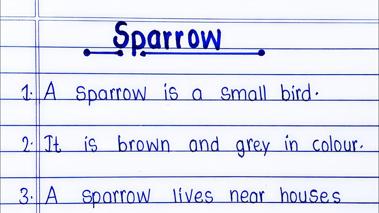 10 Lines on Sparrow in English | Essay on Sparrow for Students | Sparrow Essay | Small Bird Essay