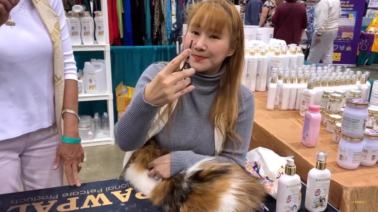 Basic Cat Daily Grooming Demo