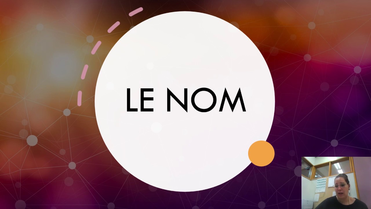 FRANÇAIS - Le nom