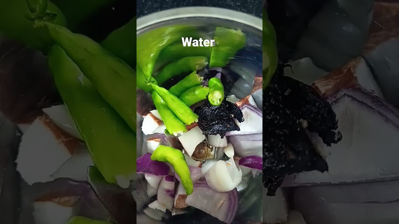 Coconut Chutney - Nadia Chatani Village Style Recipe 