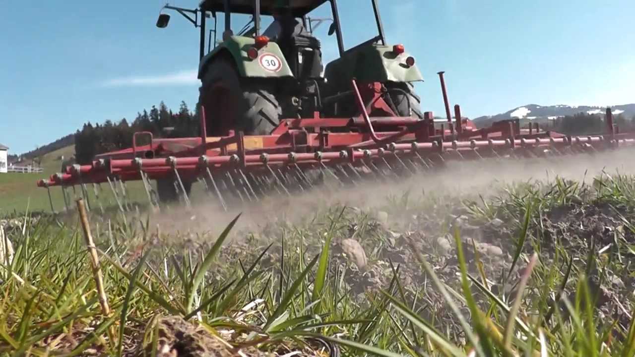 Getreide striegeln, Ur-Dinkel und Bergweizen mit Einböck Striegel striegeln
