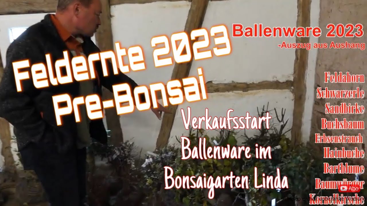 Herbstverkauf der neuen Ballenware im Bonsaigarten Linda bei Familie Krötenheerdt 2023/40