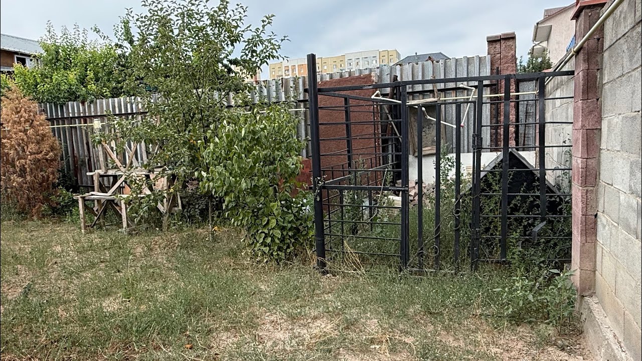 Overgrown to Beautiful — Complete Yard Transformation (Before & After)