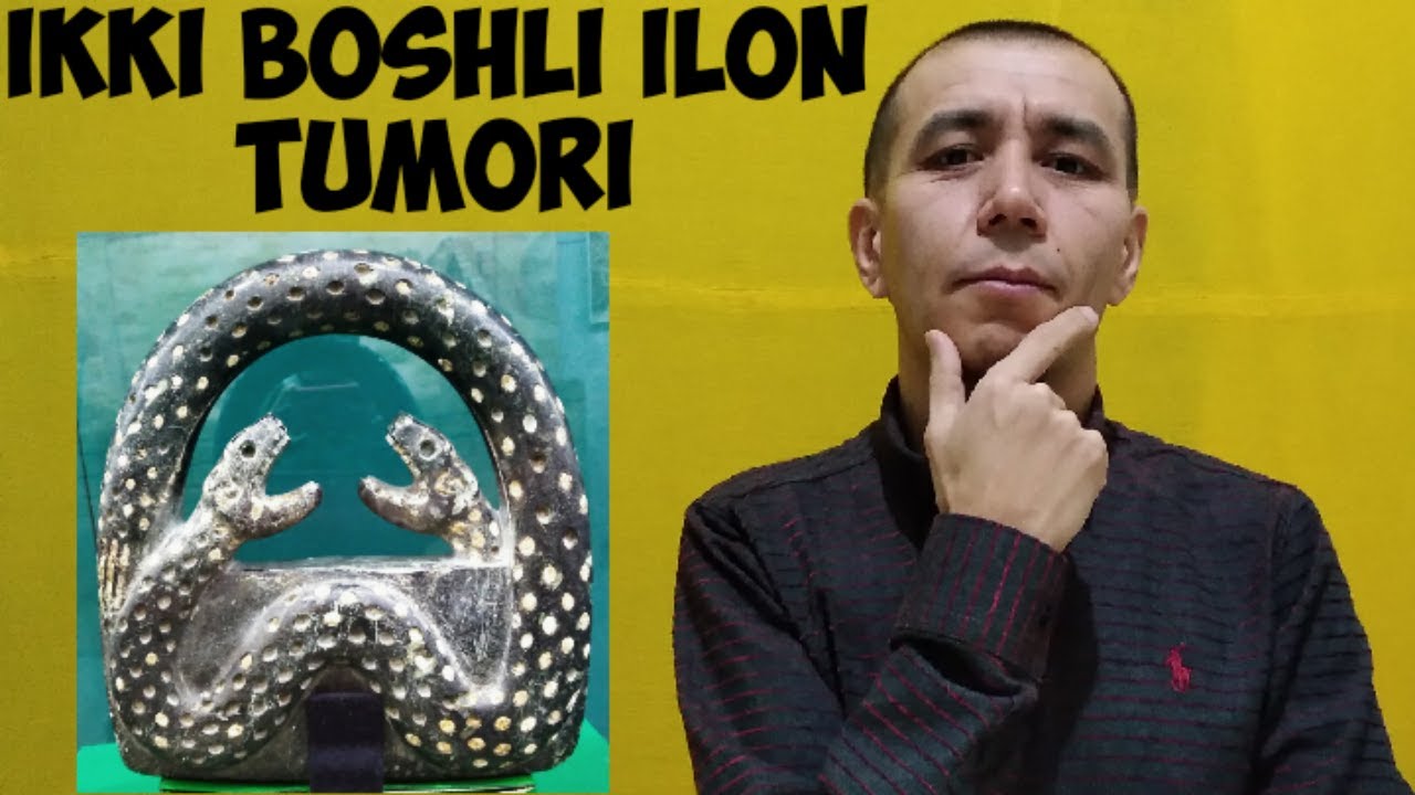 Ikki boshli ilon tumori