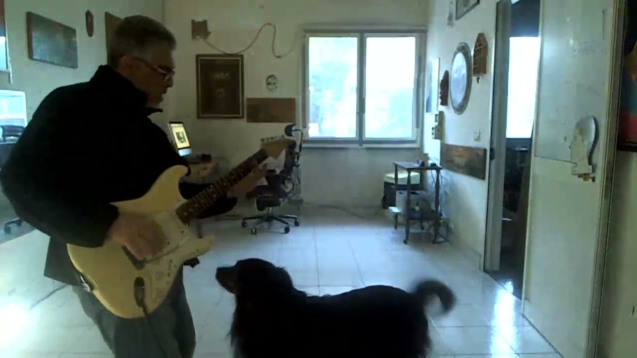 mi son scordato comp live