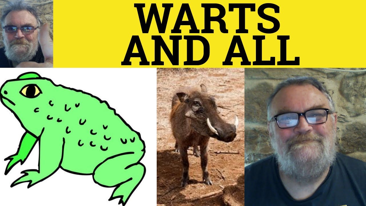 🔵 Warts and All Meaning - Warts and All Definition - Idioms - Warts and All Examples - Vocabulary