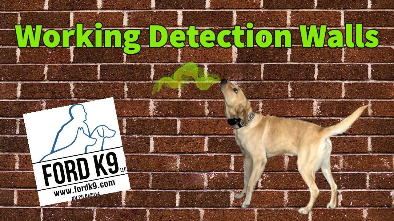 Working Detection Walls