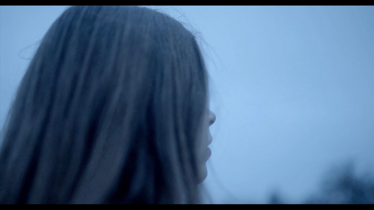 Pale Blue Eyes - The Dreamer [Official Video]