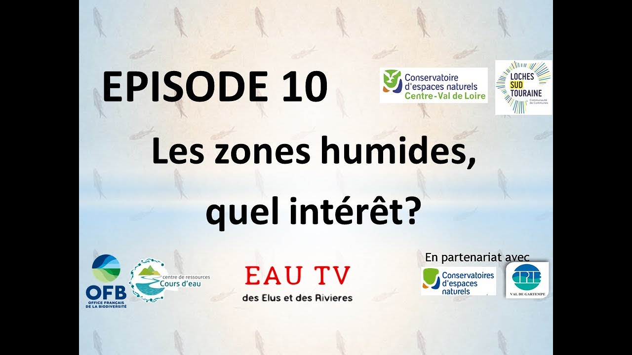 Episode 10 : Les zones humides, quels intérêts?