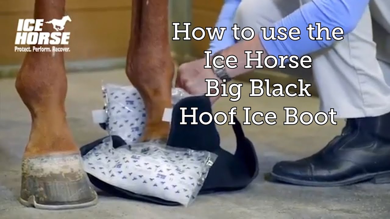 How to use the Ice Horse Big Black Boot