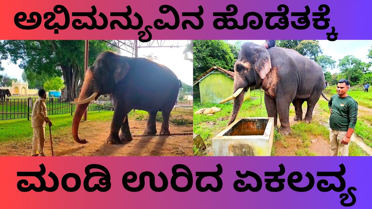 ಅಭಿಮನ್ಯುವಿನ ಹೊಡೆತಕ್ಕೆ ಮಂಡಿ ಊರಿದ ಏಕಲವ್ಯ.