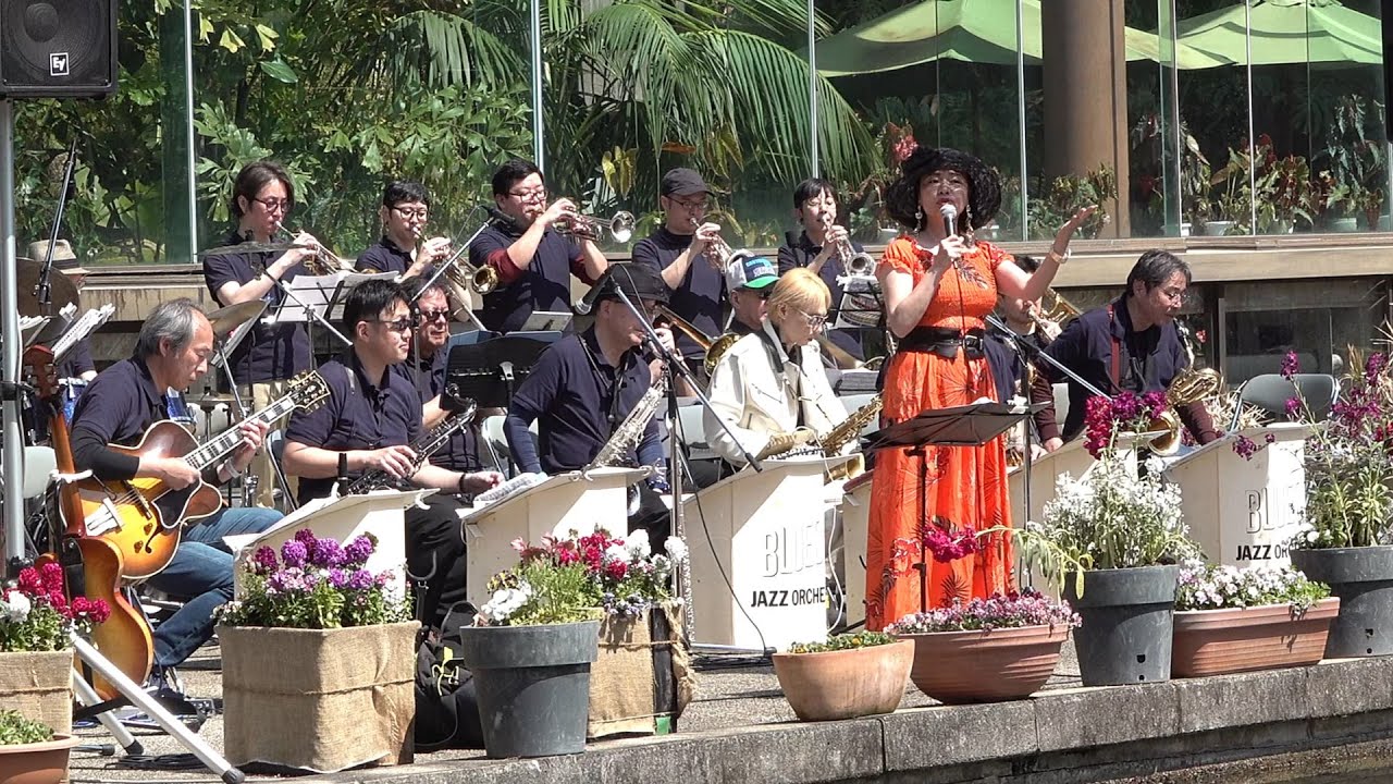 JAZZ LIVE 2025 @植物園-服部緑地 1st Set：Blusin' Jazz Orchestra and 三田裕子、2025 3/23