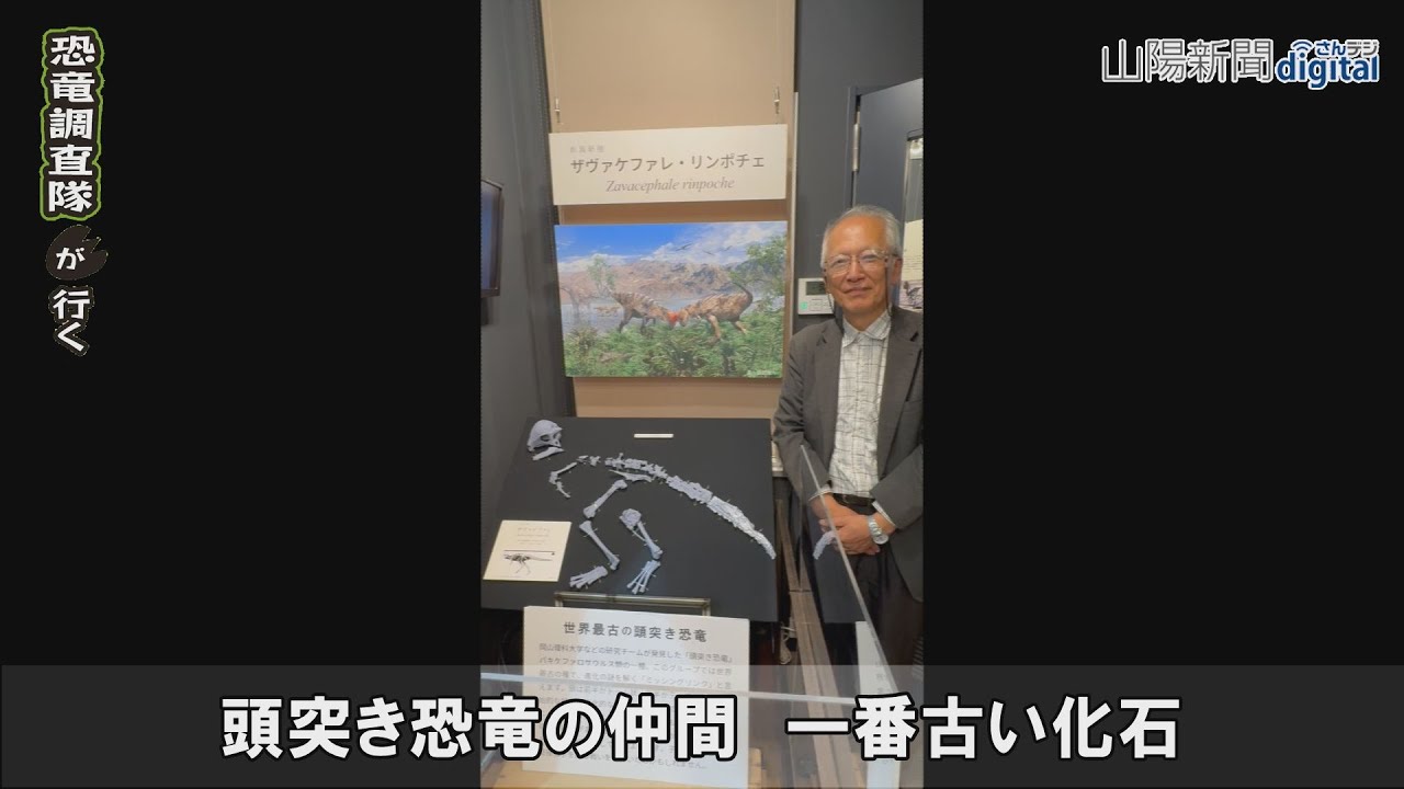 恐竜調査隊が行く（2025年10月）