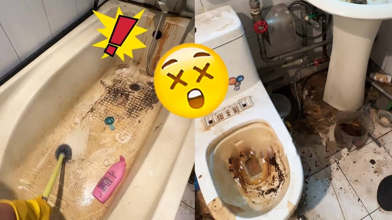 😥I got yelled at by a customer for using a toilet brush to clean it!