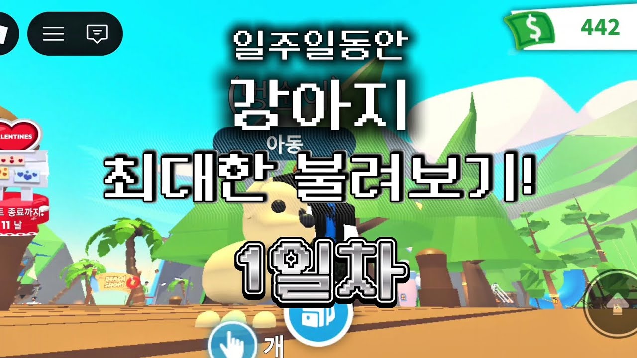 일주일동안 강아지 최대한 불려보기! (1일차)