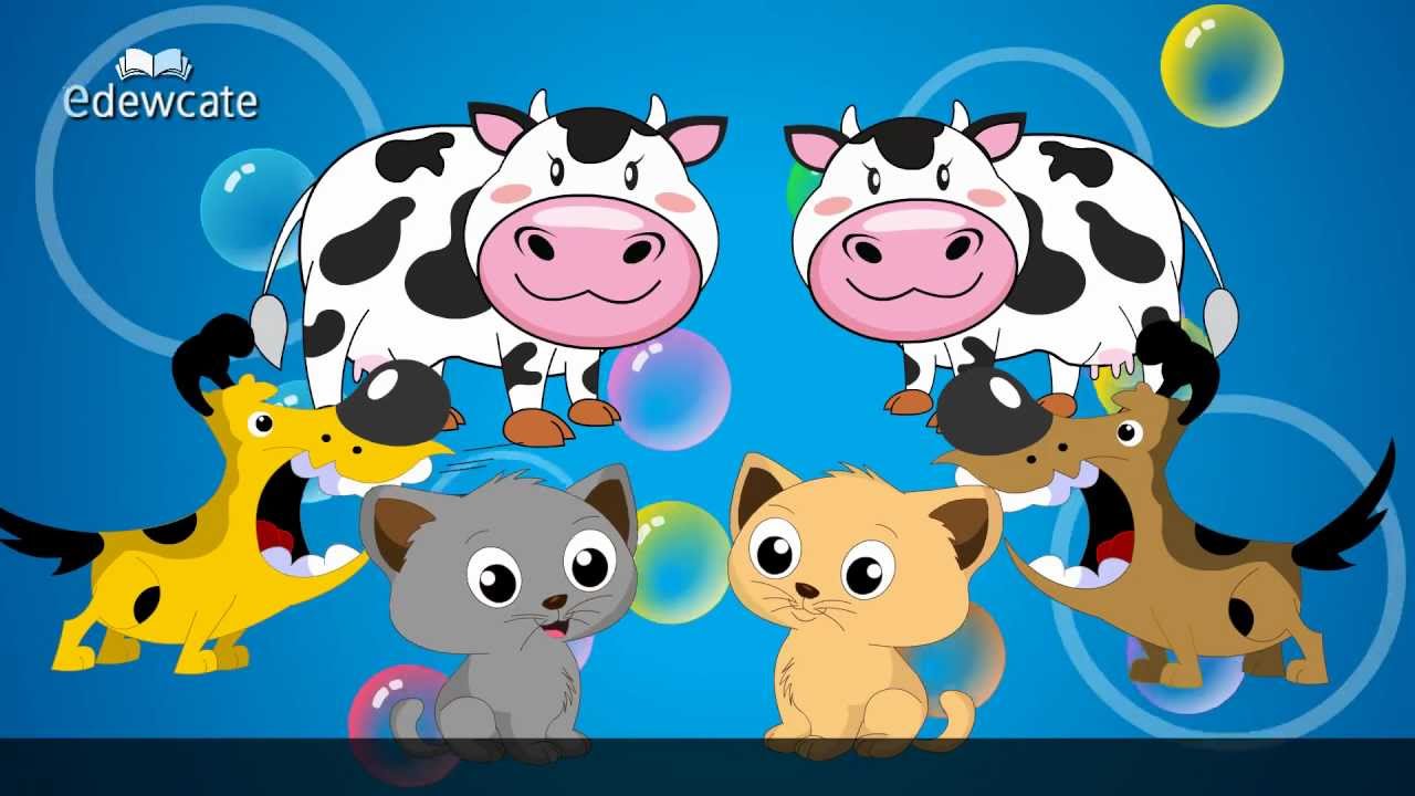 Edewcate english rhymes - Animal Sounds song