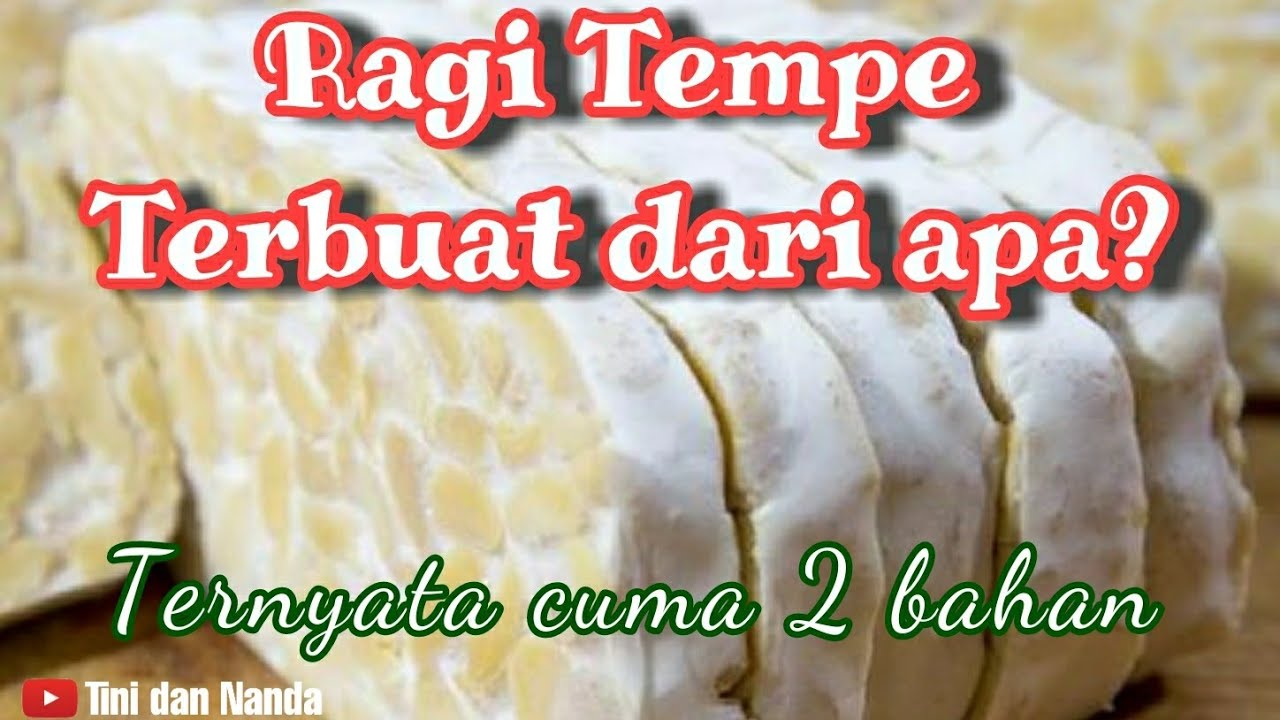 Cara Membuat Ragi Tempe