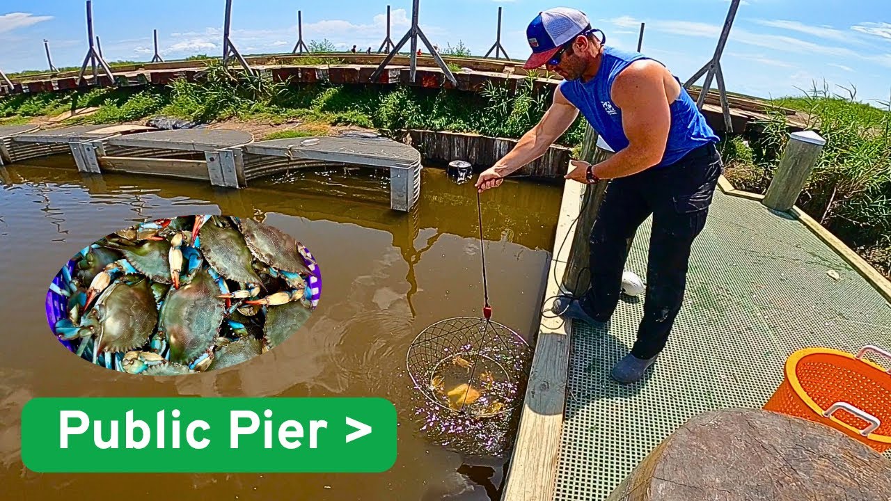 LOUISIANA Blue Crab Fishing~Public Pier Tucked Away in the Marsh! (SEAFOOD CATCH AND COOK)