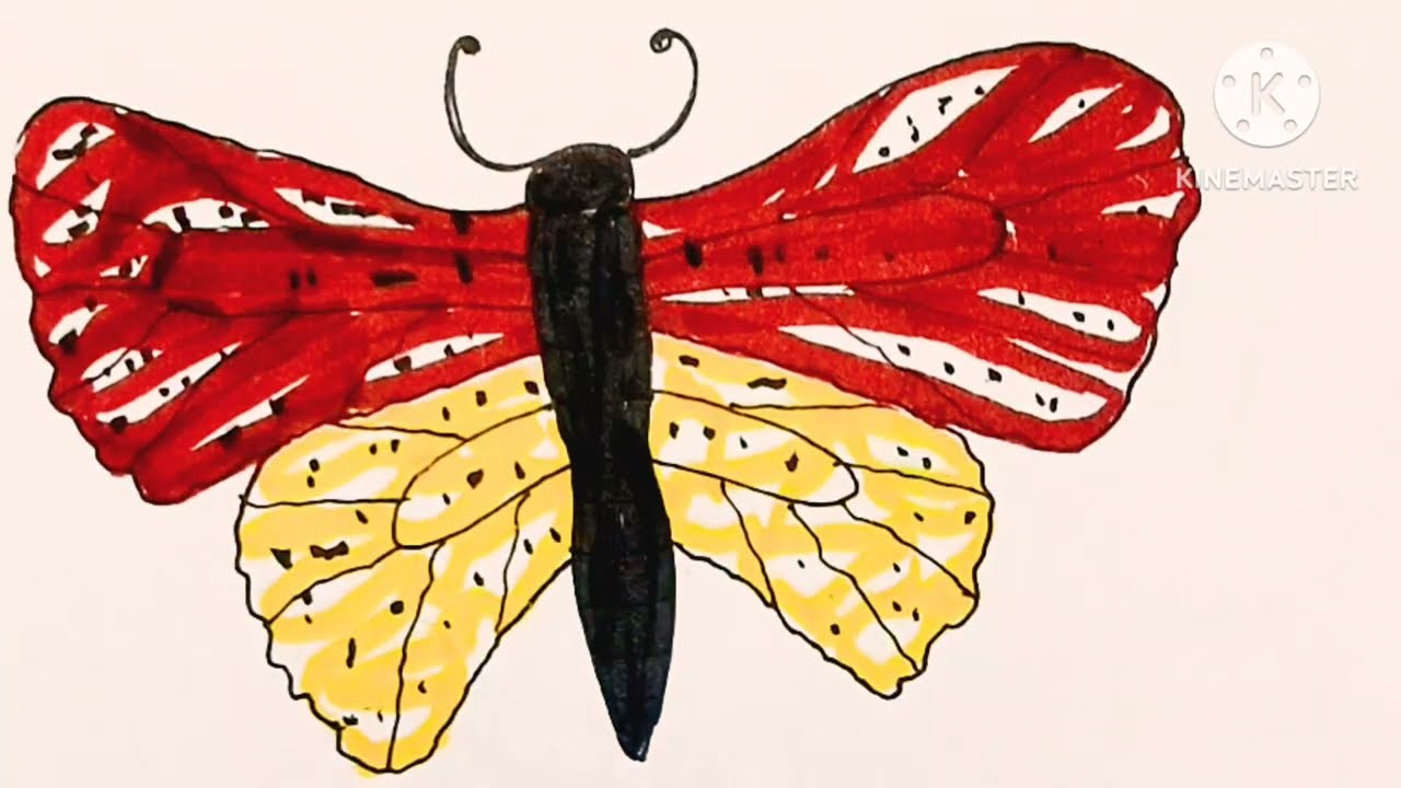 Butterfly drawing easy step by step Como cizim KIZ KOLAY Sapkali ll Butterfly panting coloring easy 