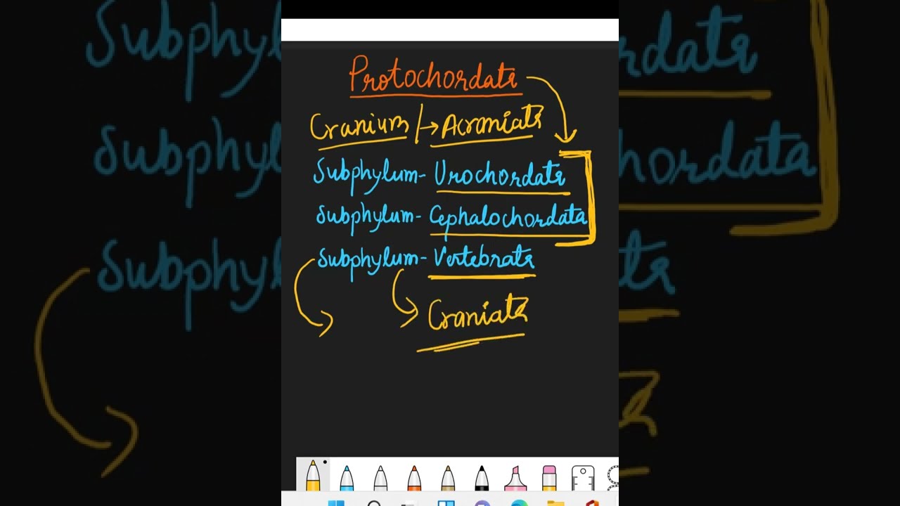 Prochordata | Acraniata | Vertebrata | Craniata | #Protochordata | #Acraniata
