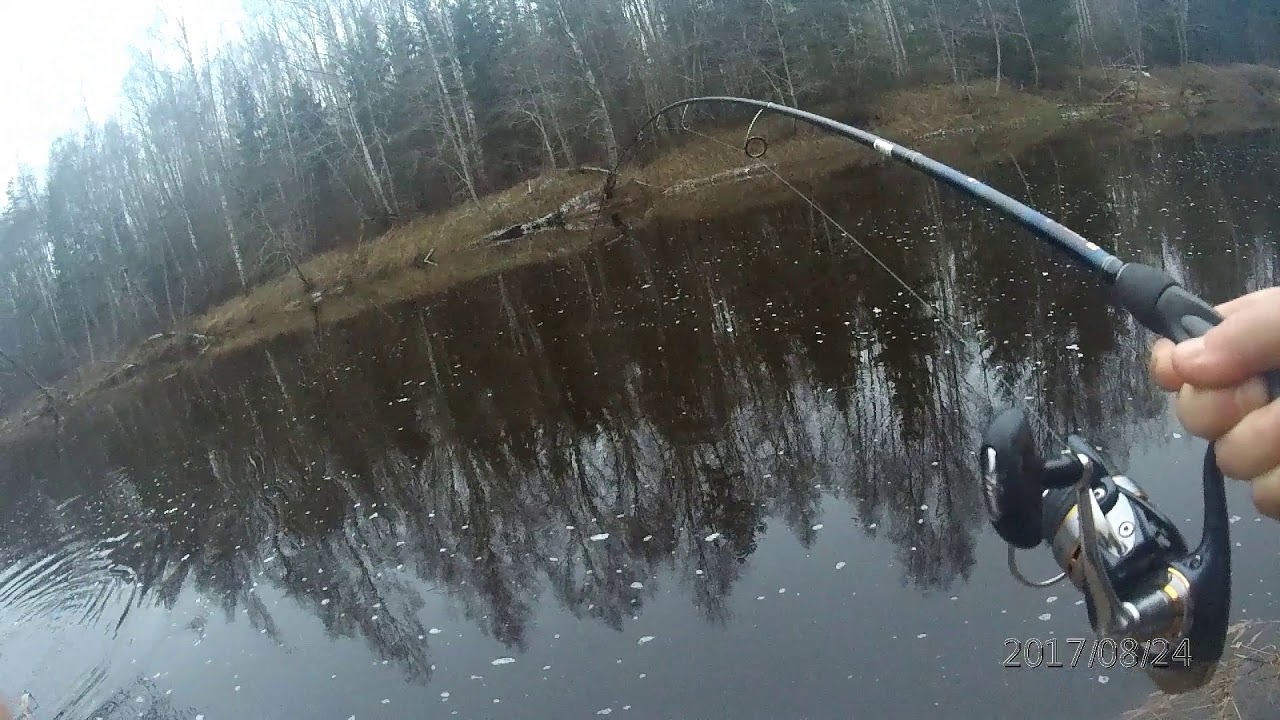 2021 год 1 января. Ловля лосося.