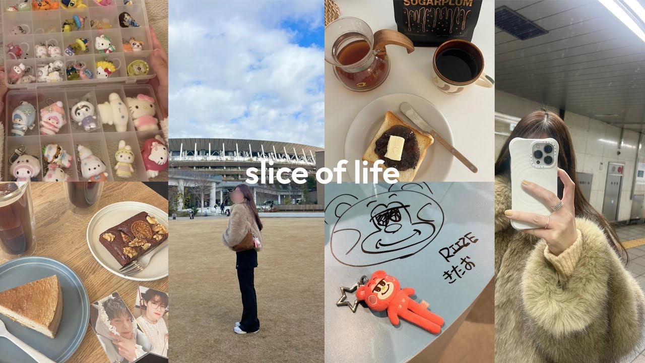 【DAILY VLOG】オタク社会人の年末年始🎍労働人生からのゆったり正月休み☕️ガチャガチャ整理💓