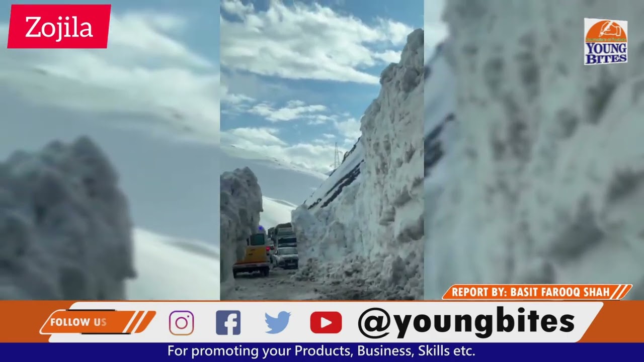 Snow disaster Zoji La Pass: 7 dead, 5 injured after avalanche hits vehicles on Srinagar&ndash;Leh route