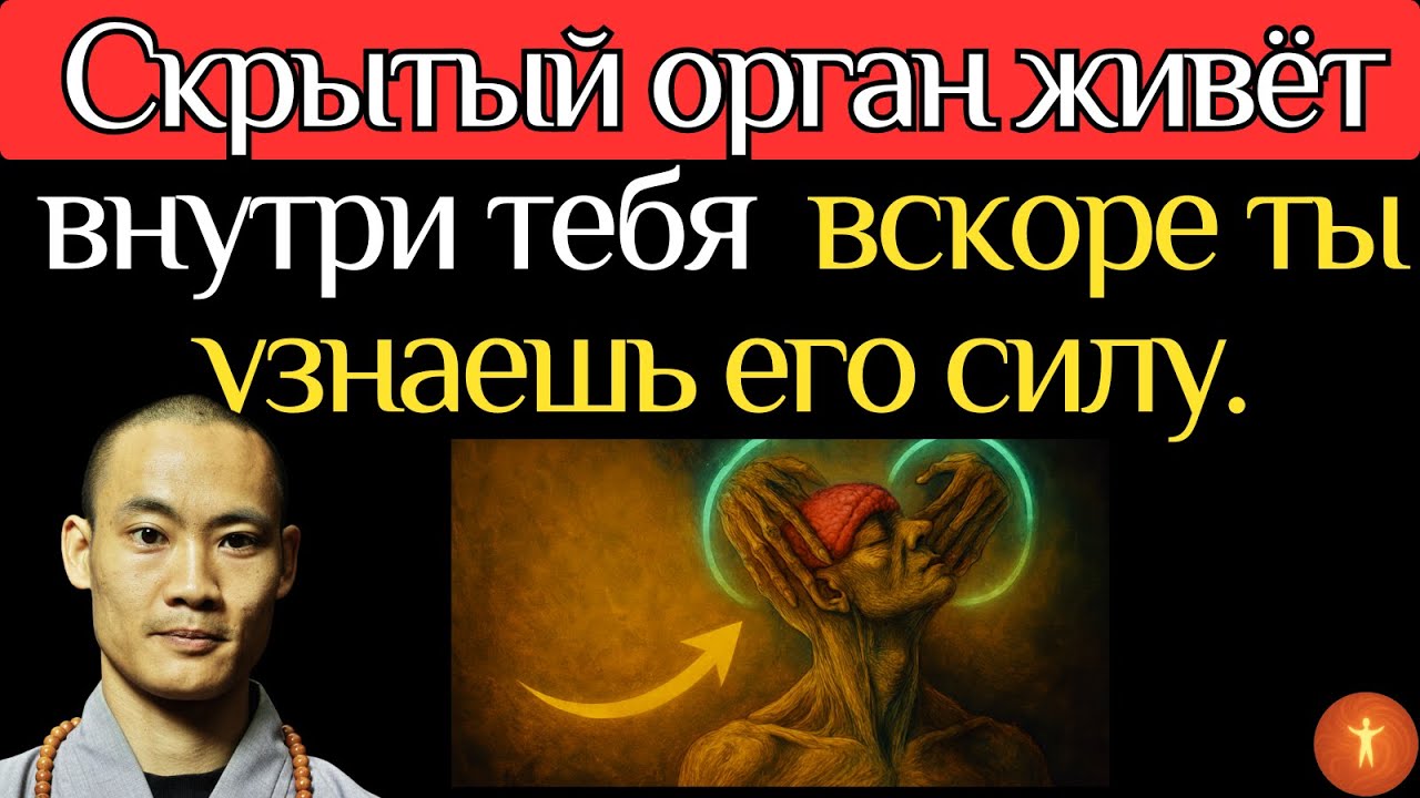 Скрытый орган внутри тебя меняет твою жизнь прямо сейчас