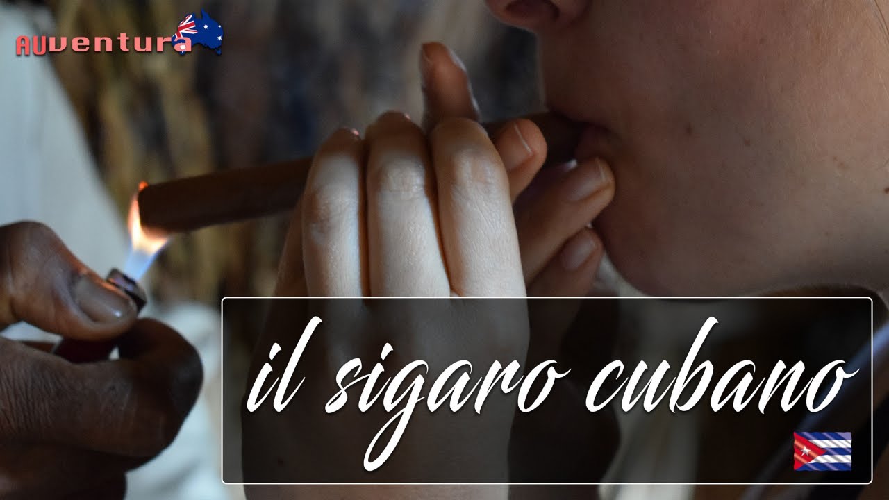 Il vero SIGARO CUBANO, come si produce | 4K