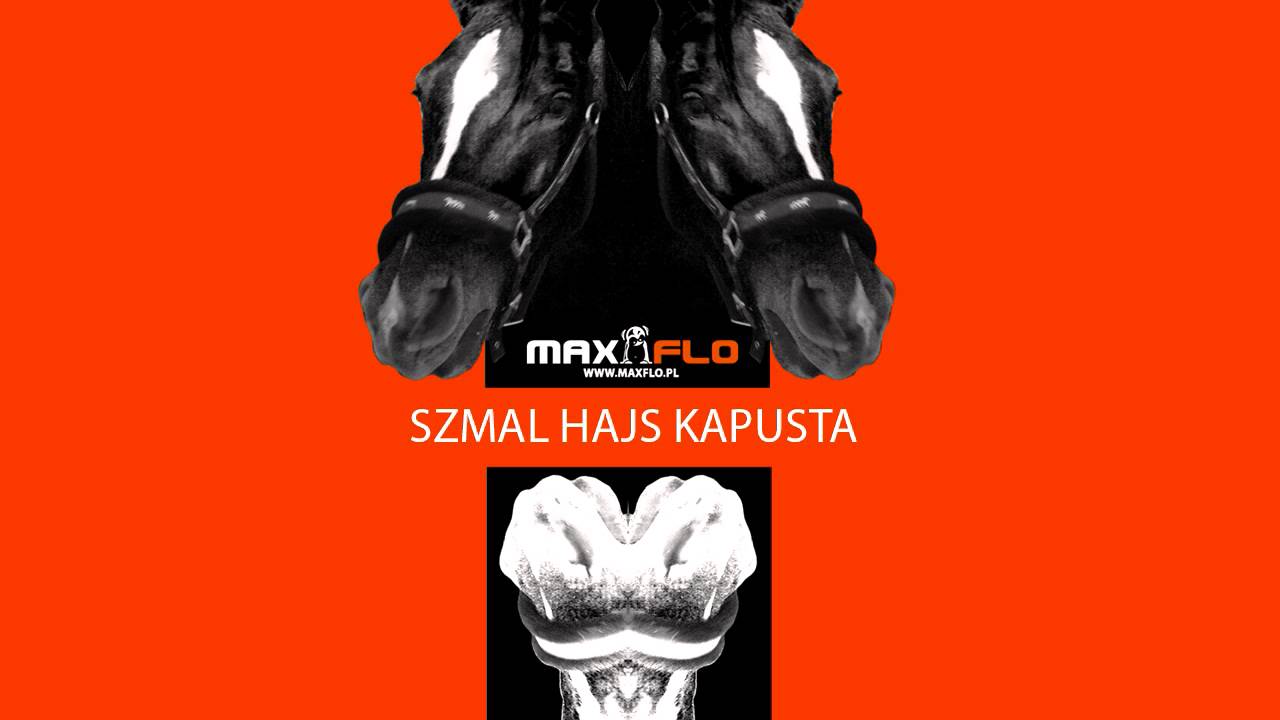 Flaszki i Szlugi - 12 Szmal, hajs, kapusta