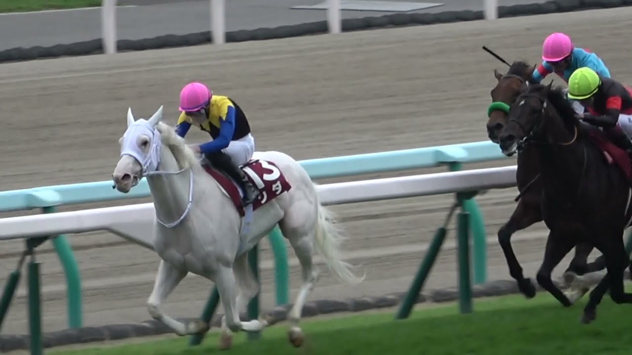 2021 第57回札幌記念GⅡ ウィニングランでなかなか帰ろうとしないソダシ 現地映像