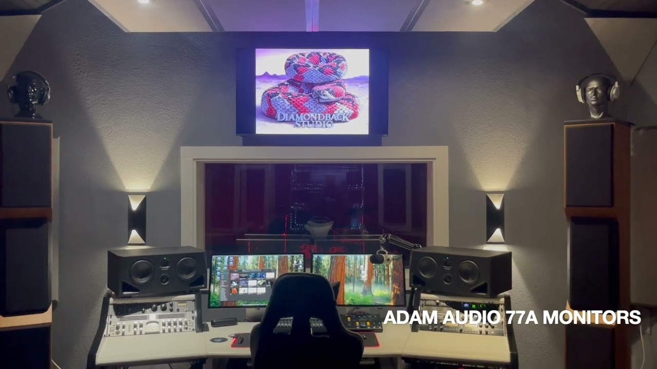 TYLER DX1 Mastering Speakers VS ADAM A77H Monitors
