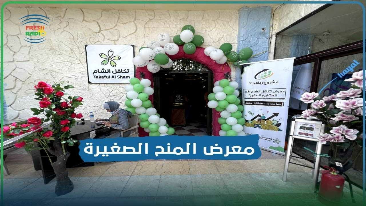 منظمة 