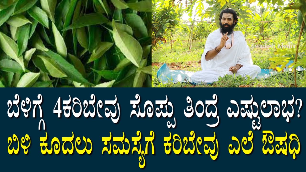 ಕರಿಬೇವು ಸೊಪ್ಪು ತಿಂದ್ರೆ ಅದೆಷ್ಟು ಲಾಭ? ಬಿಳಿ ಕೂದಲನ್ನು ಕಪ್ಪು ಮಾಡುವ ಶಕ್ತಿ ಈ ಸೊಪ್ಪಿಗೆ ಇದೆ