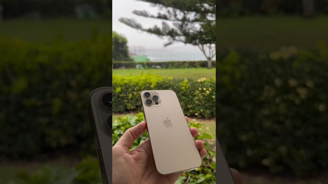 Mejor iPhone Barato 2024 // iPhone 12 Pro Max 