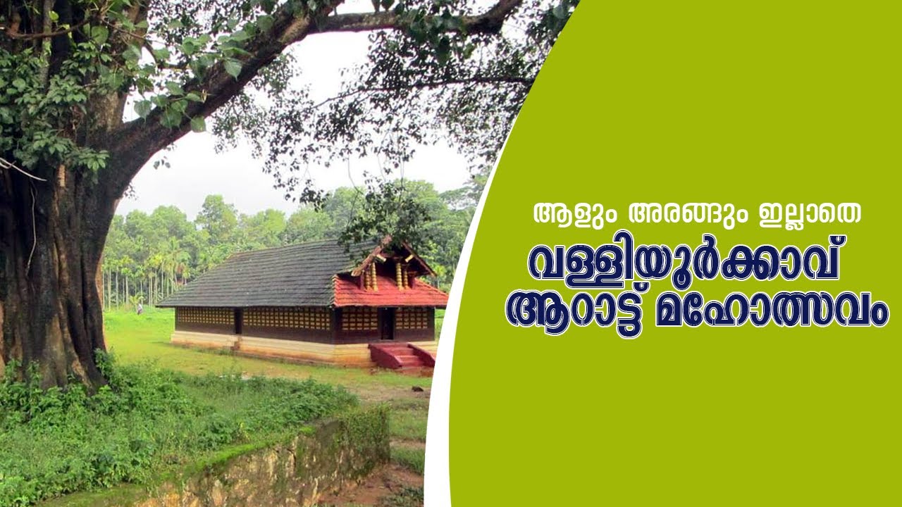 ആദിവാസി മൂപ്പൻമാർ കൊടിയേറ്റു നടത്തുന്ന ഉത്സവം I     വയനാട് വള്ളിയൂർക്കാവ്  ആറാട്ട് മഹോത്സവം