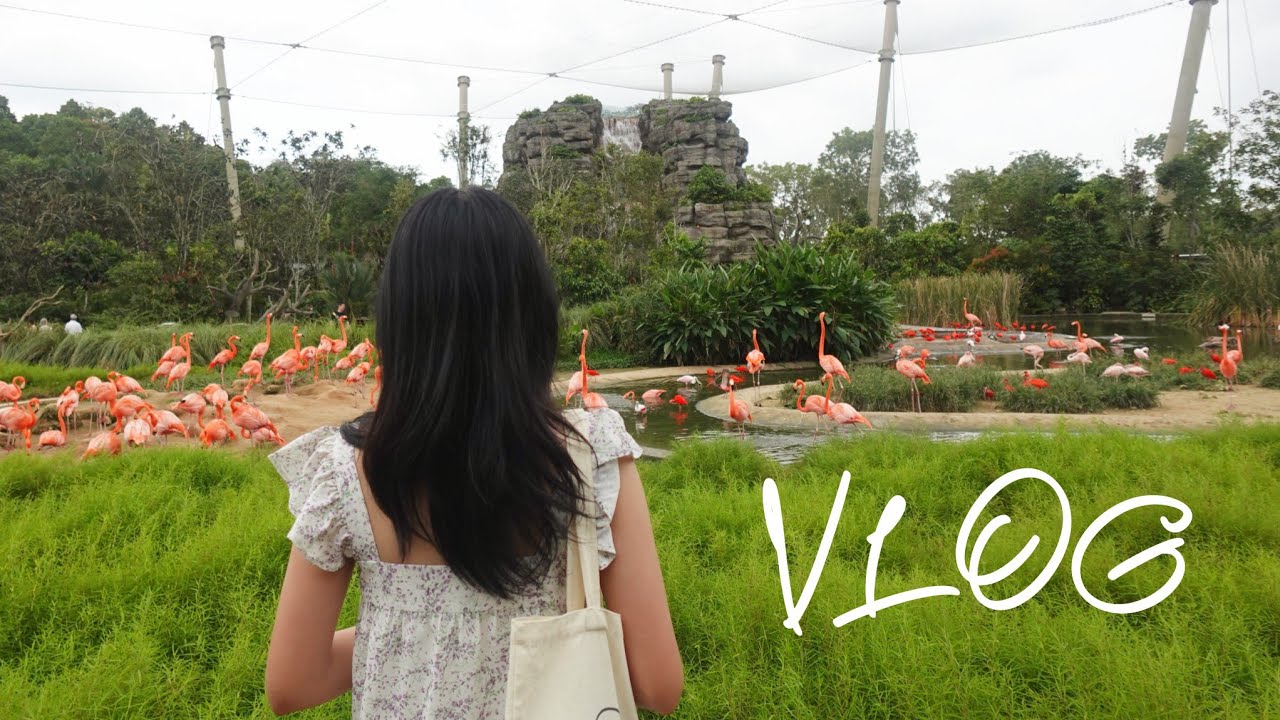 vlog | 🪿🦤🦩Bird paradise 🪽
