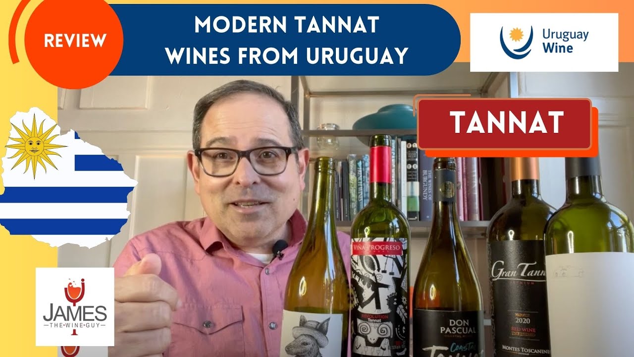 Modern Tannat from Uruguay Wines Reviews 2024