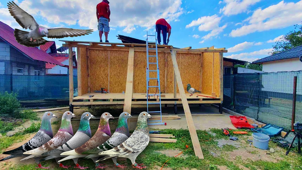AM INCEPUT CONSTRUCTIA LA VOLIERA PENTRU PORUMBEI! EP.1