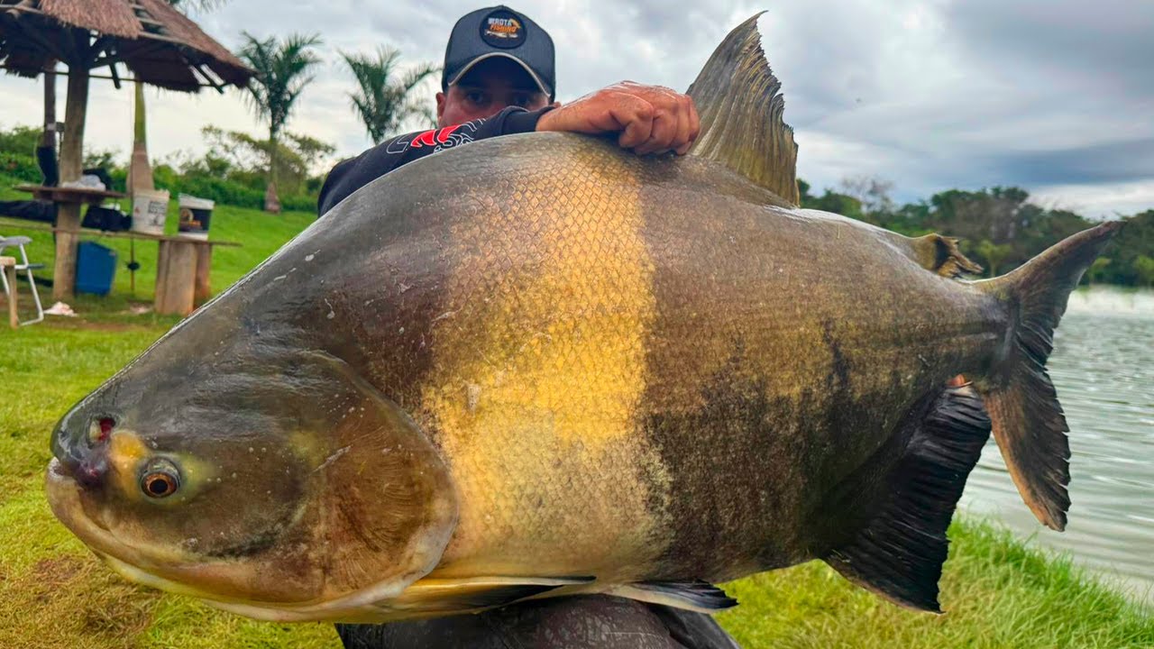 ACHAMOS O SISTEMA DOS GIGANTES NO PESQUEIRO DO TONHÃO!