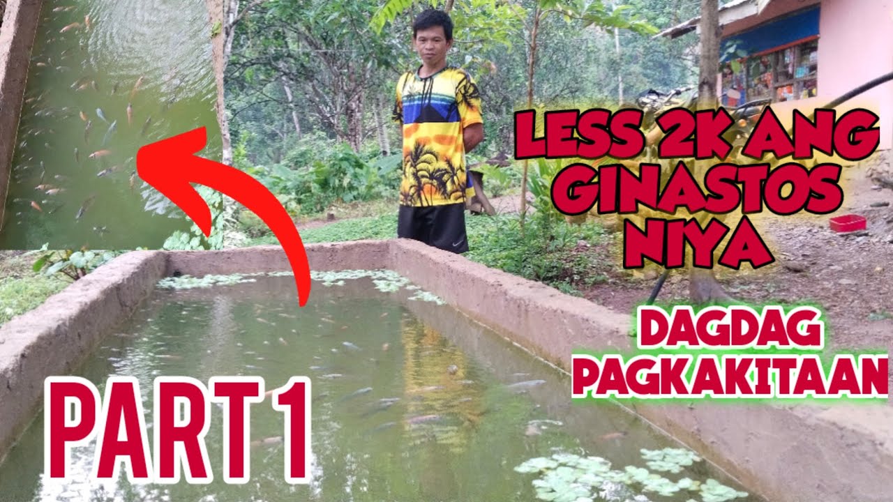 PAANO GUMAWA NG TILAPIA POND LESS THAN 2,OOO PESOS|TILAPIA FARMING