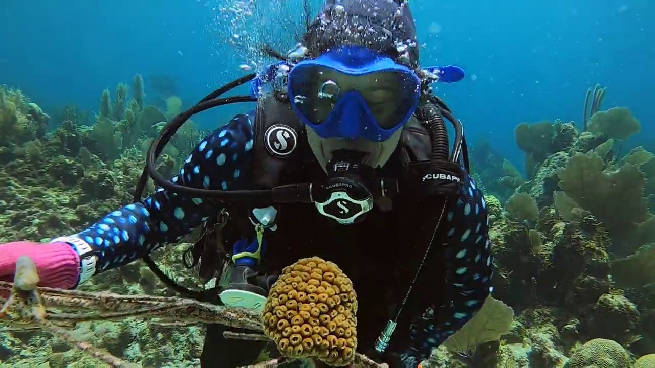Finding My Reef